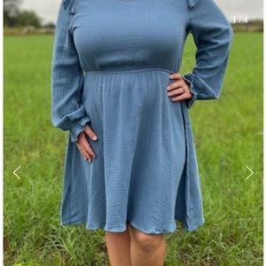 Slate Blue Long Sleeve Swing Dress - NWT